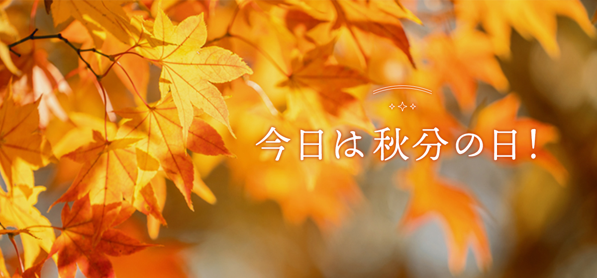 今日は秋分の日！ - Quasia公式サイト