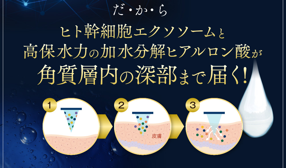 だからヒト幹細胞エクソソームと高保水力の加水分解ヒアルロン酸が角質層の深部まで届く！